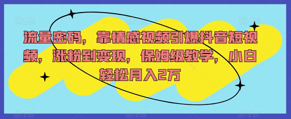 流量密码,靠情感视频引爆抖音短视频,涨粉到变现,保姆级教学,小白轻松月入2万【揭秘】-最全资源库