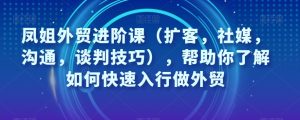 凤姐外贸进阶课（扩客，社媒，沟通，谈判技巧），帮助你了解如何快速入行做外贸-最全资源库