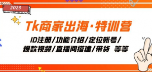 Tk商家出海·特训营：ID注册/功能介绍/定位账号/爆款视频/直播间搭建/带货-最全资源库