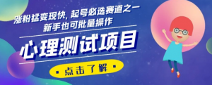 心理测试项目，涨粉猛变现快，起号必选赛道之一，新手也可批量操作【揭秘】-最全资源库