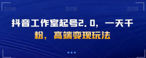 抖音工作室起号2.0，一天千粉，高端变现玩法【揭秘】-最全资源库