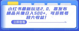 小红书最新玩法2.0，靠发布精品头像日入500+，可多账号放大收益！【揭秘】-最全资源库