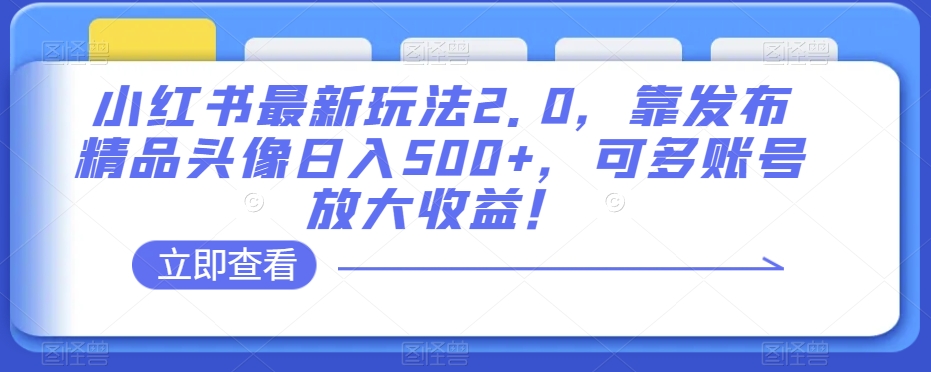 小红书最新玩法2.0，靠发布精品头像日入500+，可多账号放大收益！【揭秘】-最全资源库
