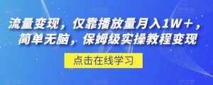 流量变现，仅靠播放量月入1W＋，简单无脑，保姆级实操教程【揭秘】-最全资源库