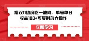 蹭双11热度吃一波肉，单号单日收益100+可复制放大操作【揭秘】-最全资源库