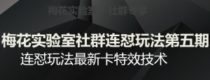 梅花实验室社群连怼玩法第五期，视频号连怼玩法最新卡特效技术-最全资源库