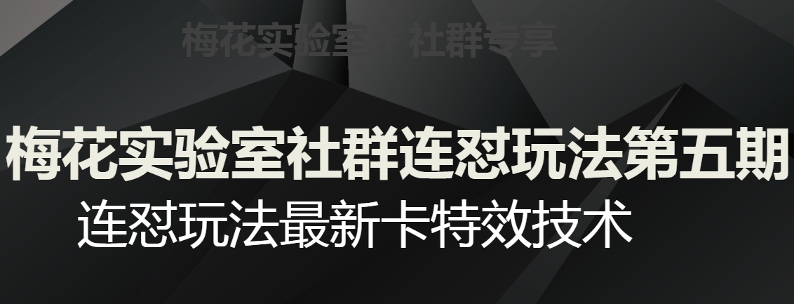 梅花实验室社群连怼玩法第五期，视频号连怼玩法最新卡特效技术-最全资源库
