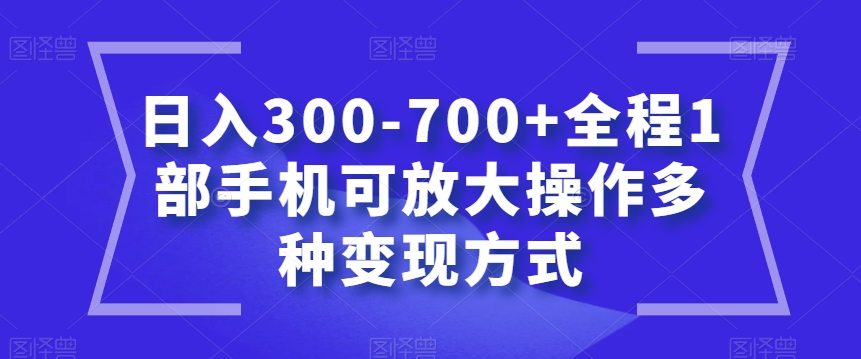 日入300-700+全程1部手机可放大操作多种变现方式【揭秘】-最全资源库