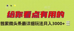 独家微头条最详细玩法，月入3000+【揭秘】-最全资源库