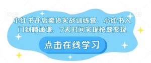 小红书开店卖货实战训练营,小红书入门到精通课,7天时间实现快速变现-最全资源库