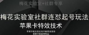 梅花实验室社群视频号连怼起号玩法，最新苹果卡特效技术-最全资源库