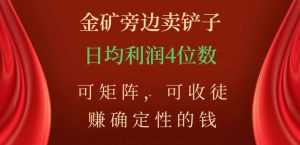 金矿旁边卖铲子，赚确定性的钱，可矩阵，可收徒，日均利润4位数【揭秘】-最全资源库