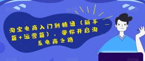 淘宝电商入门到精通(新手篇+运营篇),带你开启淘系电商之路-最全资源库