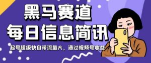 黑马赛道每日信息简讯，起号超级快自带流量大，通过视频号收益【揭秘】-最全资源库