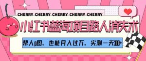 小红书蓝海项目路人消失术，帮人p图，也能月入过万，实测一天300+【揭秘】-最全资源库
