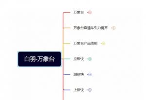 白羽·直引万搜索全篇，从0-1，多个类目实操经验总结付费-最全资源库