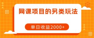 网课项目的另类玩法，单日收益2000+【揭秘】-最全资源库