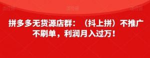 拼多多无货源店群：（抖上拼）不推广不刷单，利润月入过万！【揭秘】-最全资源库