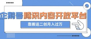 最新蓝海项目，企鹅号腾讯内容开放平台项目，靠搬运二创月入过万【揭秘】-最全资源库