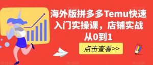 海外版拼多多Temu快速入门实操课，店铺实战从0到1-最全资源库