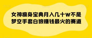 女神瘦身宝典月入几十W不是梦空手套白狼赚钱最火的赛道【揭秘】-最全资源库