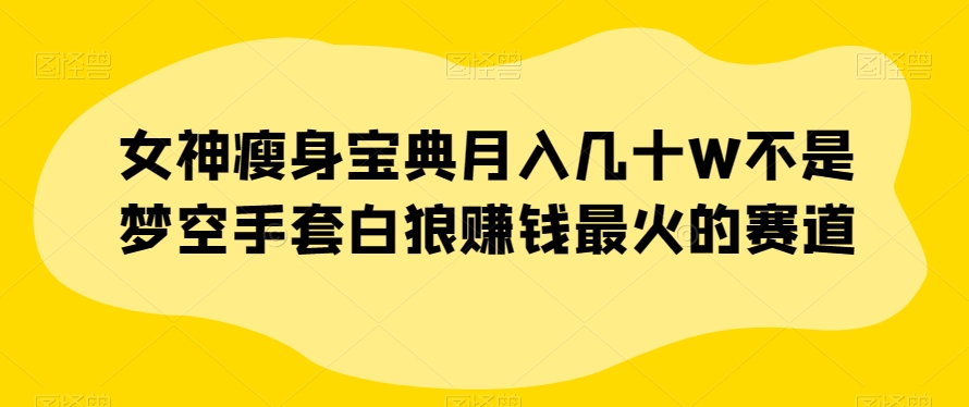 女神瘦身宝典月入几十W不是梦空手套白狼赚钱最火的赛道【揭秘】-最全资源库