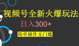 视频号最新爆火玩法，日入300+，简单操作无门槛【揭秘】-最全资源库