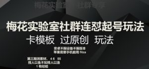 梅花实验室社群连怼起号玩法,卡模板过原创玩法【揭秘】-最全资源库