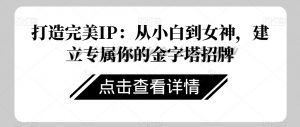 打造完美IP:从小白到女神,建立专属你的金字塔招牌-最全资源库