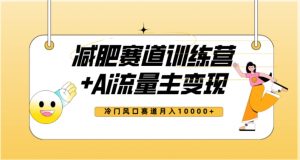 全新减肥赛道AI流量主+训练营变现玩法教程，蓝海冷门赛道小白轻松上手，月入10000+-最全资源库