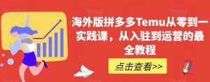 海外版拼多多Temu从零到一实践课，从入驻到运营的最全教程-最全资源库