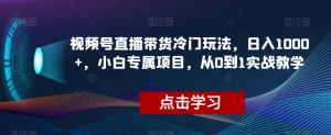 视频号直播带货冷门玩法，日入1000+，小白专属项目，从0到1实战教学【揭秘】-最全资源库