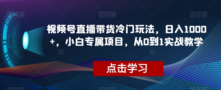 视频号直播带货冷门玩法，日入1000+，小白专属项目，从0到1实战教学【揭秘】-最全资源库