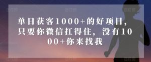 单日获客1000+的好项目，只要你微信扛得住，没有1000+你来找我【揭秘】-最全资源库