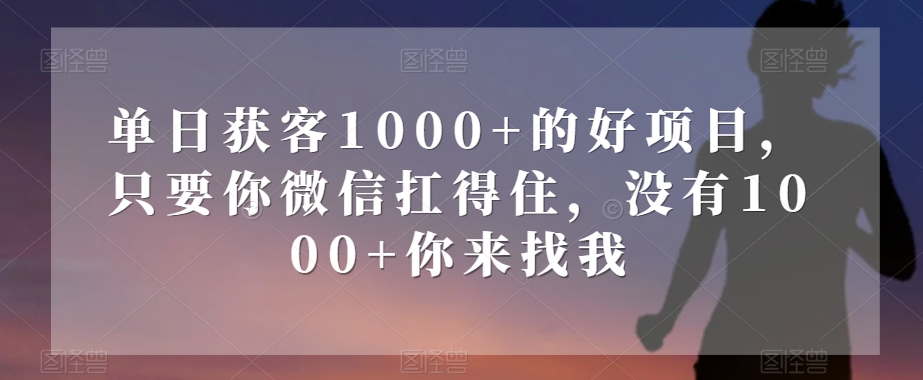 单日获客1000+的好项目，只要你微信扛得住，没有1000+你来找我【揭秘】-最全资源库