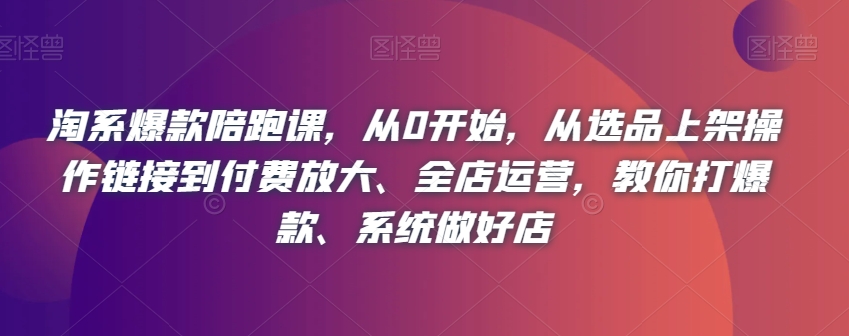 淘系爆款陪跑课，从0开始，从选品上架操作链接到付费放大、全店运营，教你打爆款、系统做好店-最全资源库