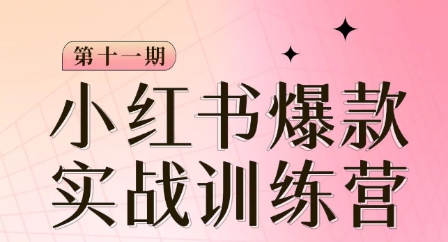小红书博主爆款训练营第11期,手把手教你从0-1做小红书,从定位到起号到变现-最全资源库