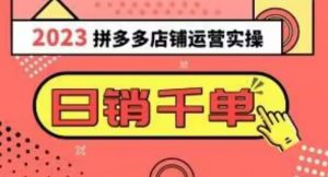2023拼多多运营实操，每天30分钟日销1000＋，爆款选品技巧大全（10节课）-最全资源库