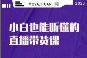 大威本威·能听懂的直播带货课,小白也能听懂,20节完整-最全资源库