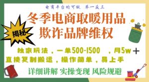 利用电商平台冬季销售取暖用品欺诈行为合理制裁店铺，单日入900+【仅揭秘】-最全资源库