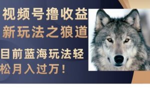 视频号撸收益新玩法之狼道，目前蓝海玩法，轻松月入过万【揭秘】-最全资源库