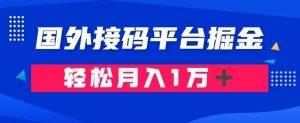 通过国外接码平台掘金：成本1.3，利润10＋，轻松月入1万＋【揭秘】-最全资源库