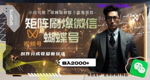 矩阵刷爆微信蝴蝶号创作者分成计划收益的新玩法，日入2000+【揭秘】-最全资源库