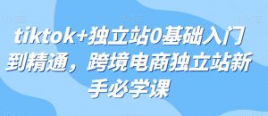 tiktok+独立站0基础入门到精通，跨境电商独立站新手必学课-最全资源库