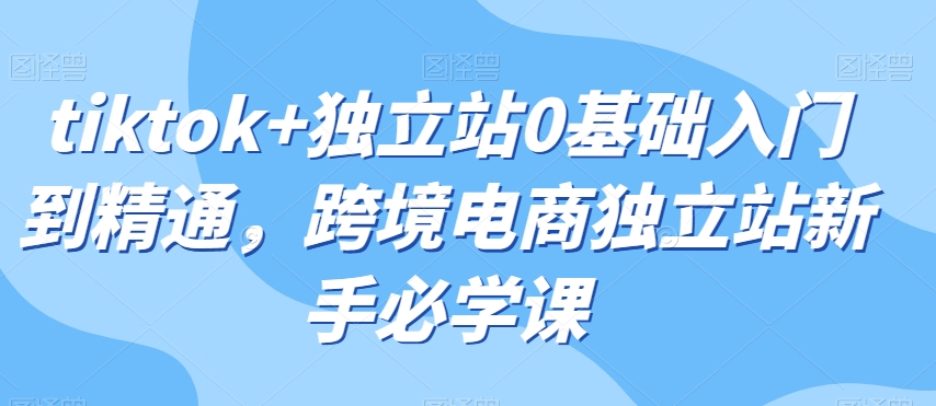 tiktok+独立站0基础入门到精通，跨境电商独立站新手必学课-最全资源库