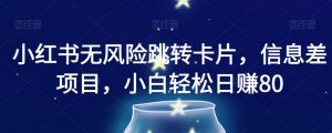 小红书无风险跳转卡片，信息差项目，小白轻松日赚800【揭秘】-最全资源库