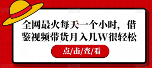 全网最火每天一个小时，借鉴视频带货月入几W很轻松【揭秘】-最全资源库