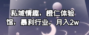 私域情趣，橙仁体验馆，暴利行业，月入2w【揭秘】-最全资源库