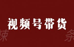 视频号带货联盟,赚信息差的带货钱,只需手机随时随地都可以做!-最全资源库
