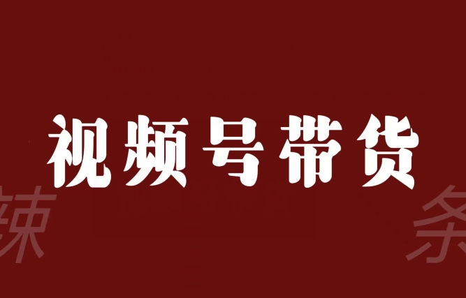 视频号带货联盟,赚信息差的带货钱,只需手机随时随地都可以做!-最全资源库